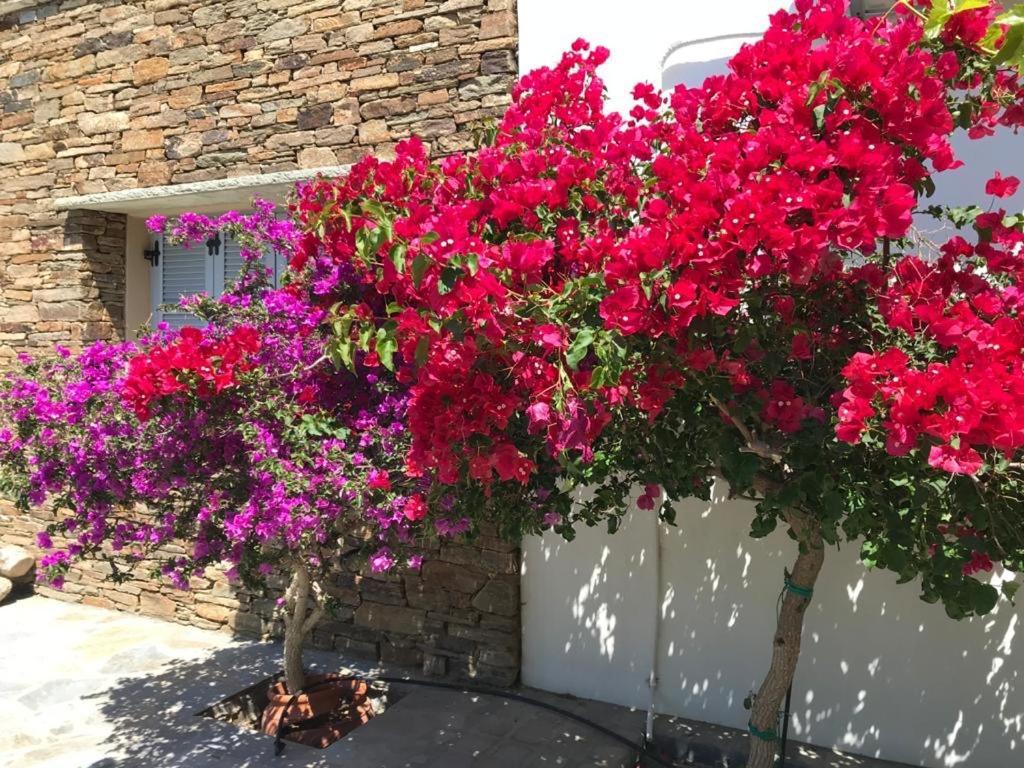 Oikia Petra Βίλα Άγιος Ιωάννης Εξωτερικό φωτογραφία